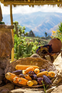 Close-up of fresh vegetables in basket against mountain