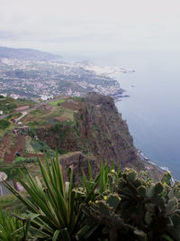 High angle view of plants and sea against sky