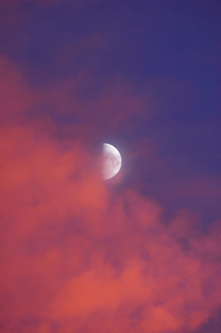 LOW ANGLE VIEW OF MOON AT SUNSET