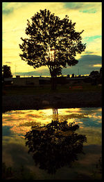 Reflection of trees in water at sunset