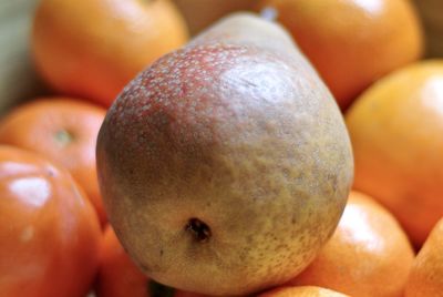 Close-up of fruits in market