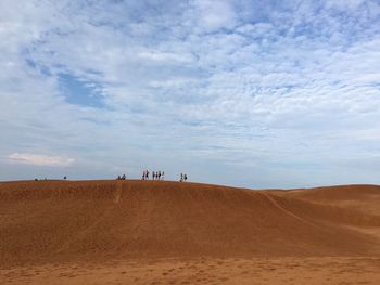 Sand dune in desert against sky