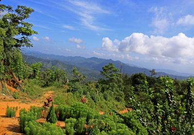 Scenic view of landscape against sky