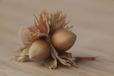 Close-up of onions on table