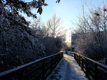 Footbridge over canal amidst trees against sky