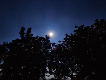 Low angle view of silhouette trees against sky at night