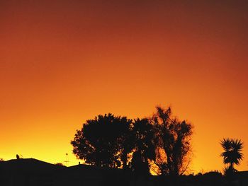 Silhouette trees against orange sky