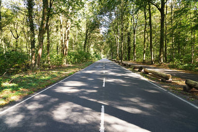 Empty road along trees in forest