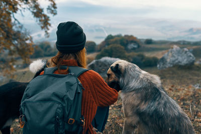 Rear view of a dog