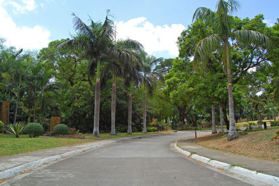 Road amidst trees in city against sky