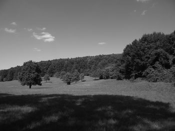 Scenic view of green landscape against sky