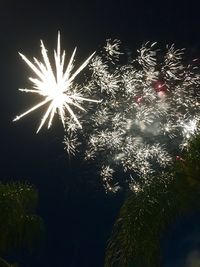 Low angle view of firework display at night