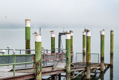 Close-up of wooden post by sea against sky