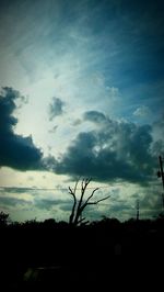 Silhouette trees against sky during sunset