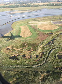 High angle view of agricultural field