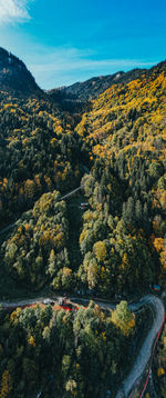 High angle view of trees on landscape against sky