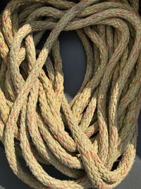 Close-up of rope tied on wood