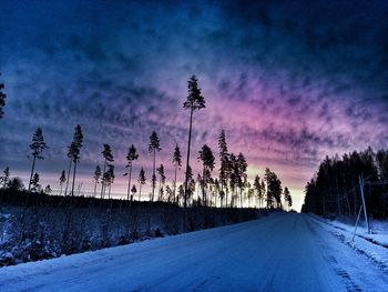 Road amidst plants against sky during winter