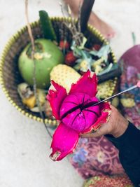 Close-up of hand holding red rose