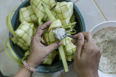 High angle view of woman hand holding leaves