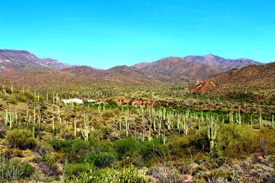 Scenic view of mountains against clear blue sky