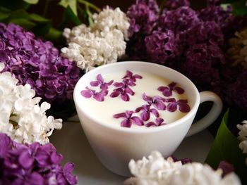 Close-up of pink roses on table
