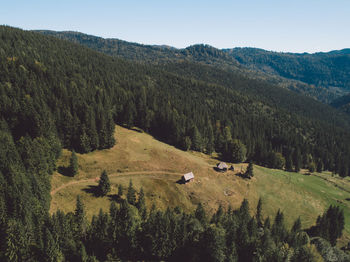 High angle view of trees on field against sky