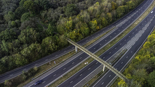 High angle view of road amidst trees