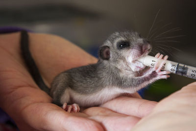 Close-up of person holding hand