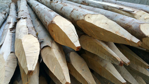 Full frame shot of logs