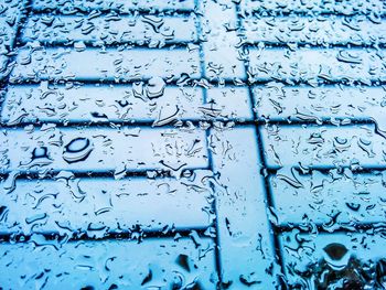 Close-up of water drops on black background