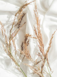 Top view on dried grass. decorative plants on crumpled white fabric. hand made natural decorations. 