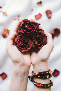 Cropped image of woman holding pink flower