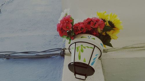 Close-up of flowers against wall