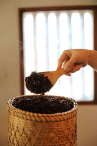 Close-up of hand holding potted plant