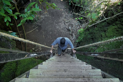 Rear view of man standing on staircase in forest