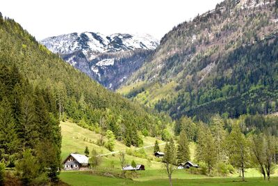 Scenic view of landscape and mountains