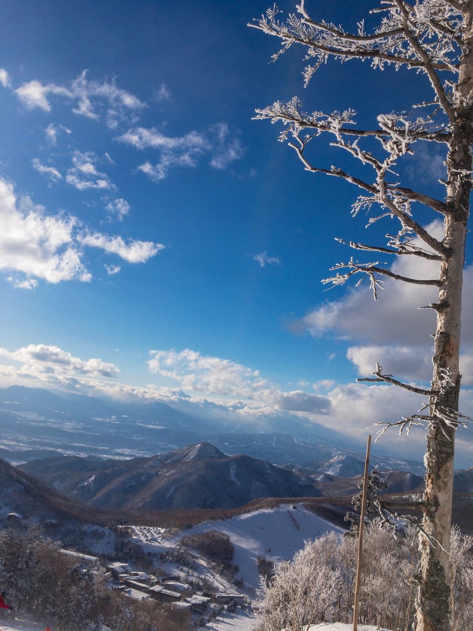 snow, cold temperature, mountain, winter, nature, beauty in nature, tranquility, tranquil scene, scenics, landscape, mountain range, sky, day, non-urban scene, tree, no people, outdoors, ice, snowcapped mountain, blue, frozen, bare tree, branch, wilderness area