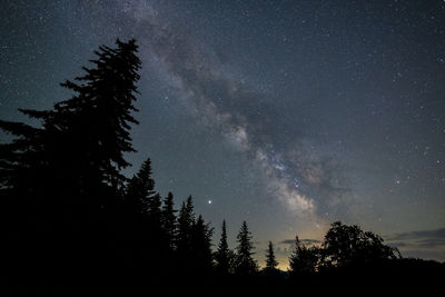 Low angle view of silhouette trees against sky at night