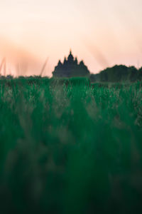 Surface level of land against sky during sunset