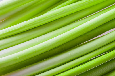 Full frame shot of bamboos