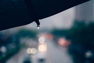 Close-up of water drop on leaf