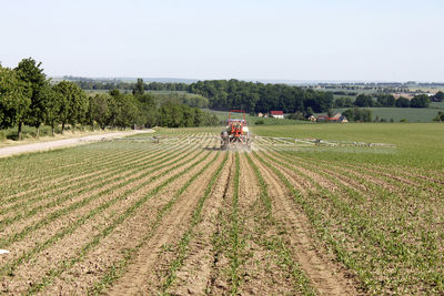 Scenic view of agricultural field against clear sky