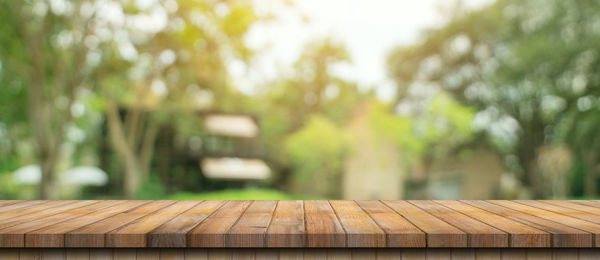 Close-up of wooden bench in park