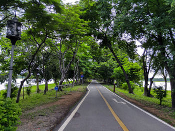 Road amidst trees in city