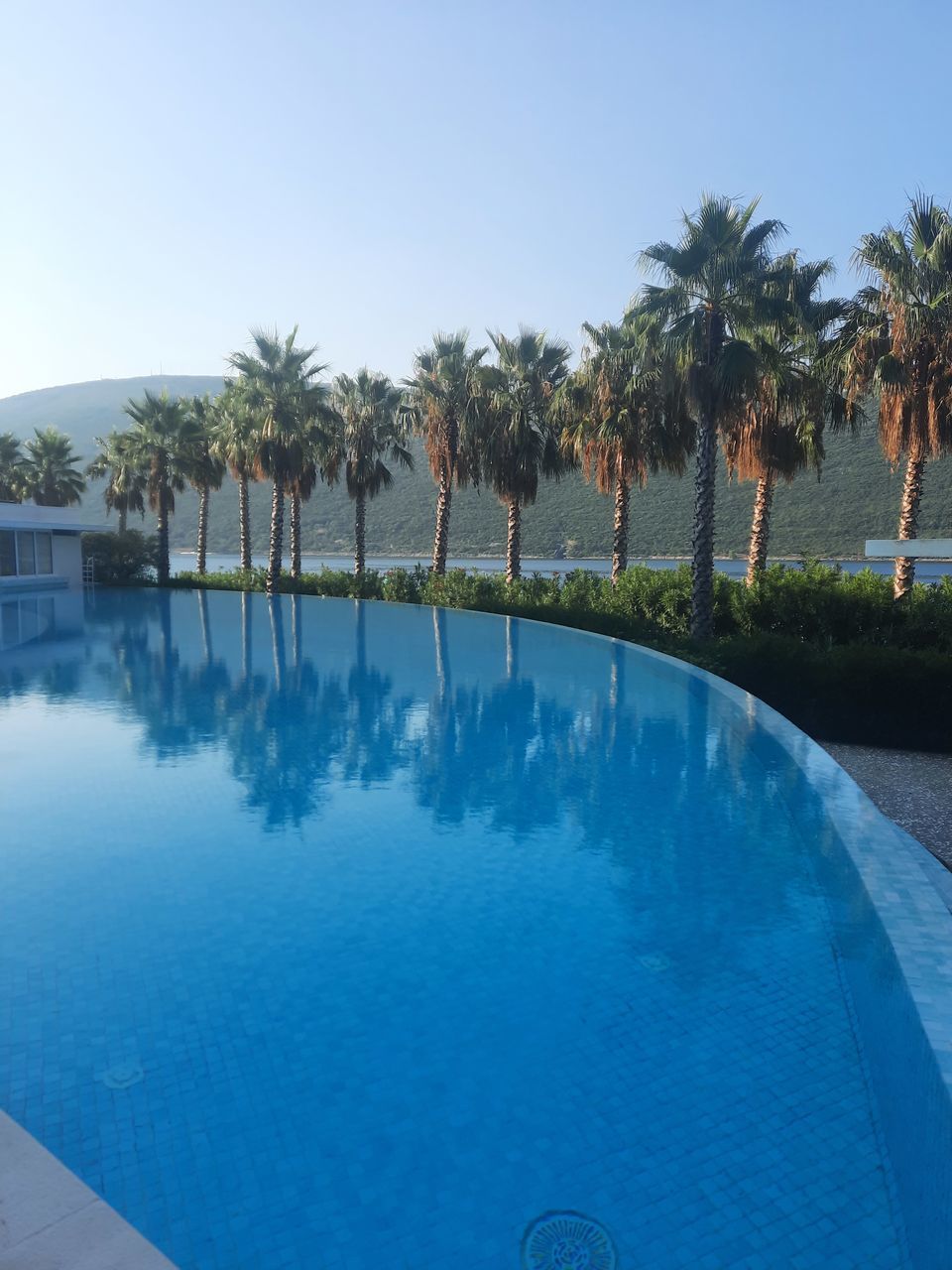 blue, tree, nature, plant, sky, palm tree, day, tropical climate, no people, architecture, water, reflection, outdoors, swimming pool, built structure, low angle view, building exterior, clear sky, sunlight