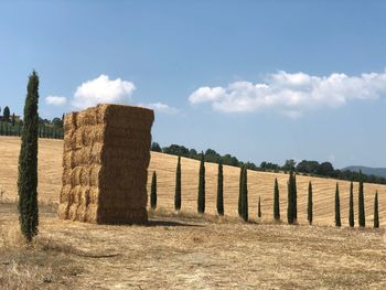 Wooden posts on field against sky