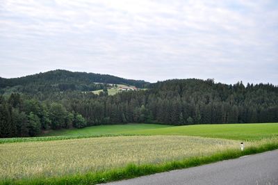 Scenic view of trees on field against sky