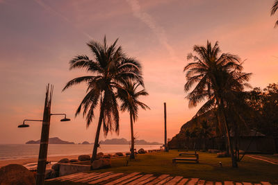 Silhouette palm trees by swimming pool against sky during sunset