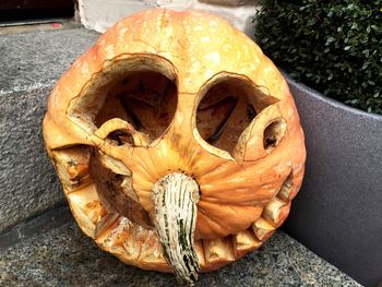 High angle view of pumpkin pumpkins